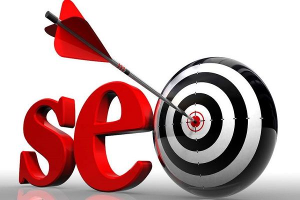 沈阳网站优化服务成功案例推荐，获得想法与经验